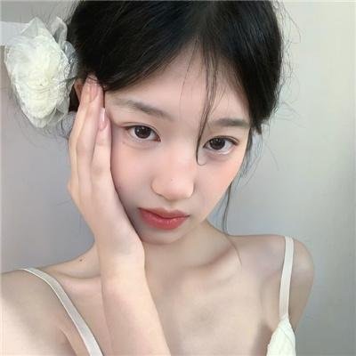 国王与小鸟